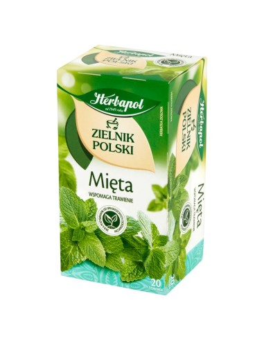 Zielnik Polski mint infusion Herbapol 20 bags